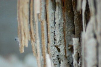 Protect Your Wood Stairs from Termites - Stair Parts USA